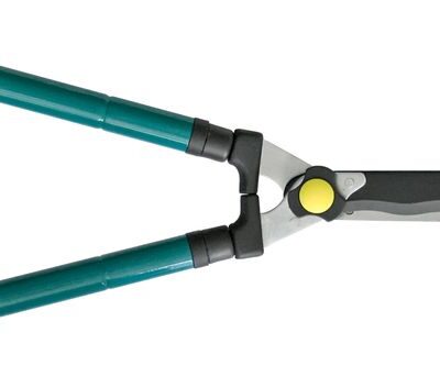 Nožnice Strend Pro KT3931A, záhradné, na živý plot, teleskopické, kov