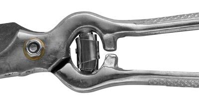 Nožnice Strend Pro HPV847, 220 mm, záhradné, na konáre, kované, leštené