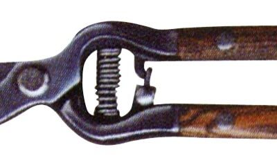 Nožnice Strend Pro P4740, záhradné, na hrozno a konáre, pre vinárov