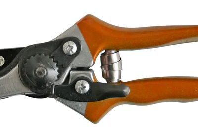 Nožnice Strend Pro P0807, záhradné, na hrozno a konáre, pre vinárov, 200 mm