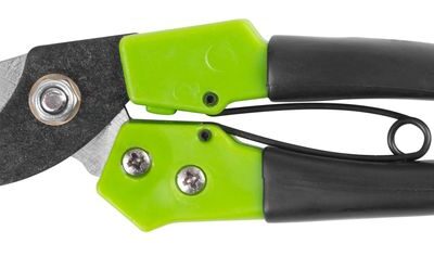 Nožnice Strend Pro Premium, 200 mm, záhradné, na konáre, zelené