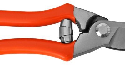 Nožnice Strend Pro P1802, záhradné, na hrozno a konáre, pre vinárov