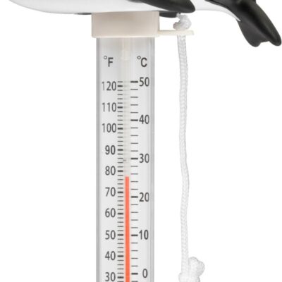 Teplomer Strend Pro Pool, Veľryba, plávajúci, bazénový