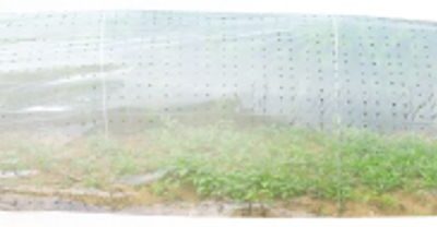 Parenisko Strend Pro Garden, 310x100 cm, mini fóliovník, perforované