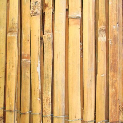 Plot Bambus BSF 1000 mm, L-5 m, štiepaný