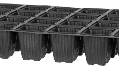 Sadbovač Strend Pro, na priesady, 49x33x8 cm, 24 priesad, štvorec