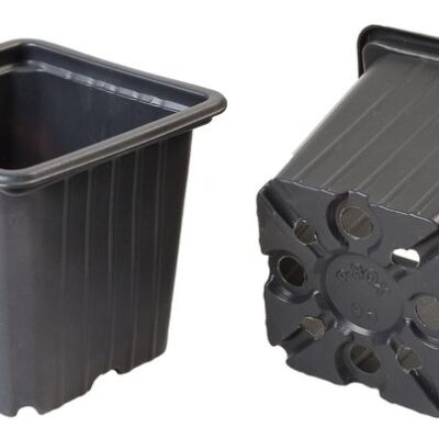 Kvetináč Strend Pro, na priesady, štvorec, 8x8x7 cm