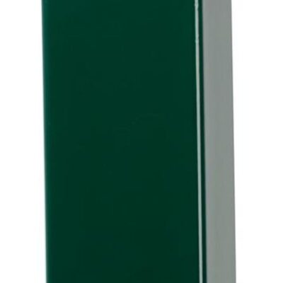 Stlpik Strend Pro EUROSTANDARD, 1700/60x40/1,25 mm, zelený, hranatý, čiapočka, Zn+PVC, RAL6005