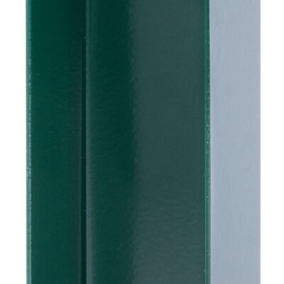 Držiak Strend Pro EUROSTANDARD, 40x200 mm, zelený, RAL6005, so skrutkami, na podhrabové dosky